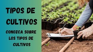 Cuales son los tipos de cultivos agrícolas Tipos de cultivos Cultivos Todo sobre los cultivos [upl. by Sahpec]