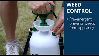 How to Control Weeds in Your Zoysia Lawn During the Spring Season [upl. by Celik]