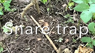 How to Make a Basic SNARE TRAP with Rope or Wire  Catch Your Own Survival Food [upl. by Gnuhn]