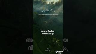 Quran quran qurantranslation [upl. by Nylknarf160]