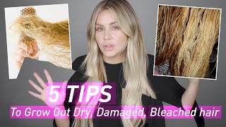 5 Tips to Grow Out Dry Damaged amp Bleached Hair [upl. by Zobkiw]