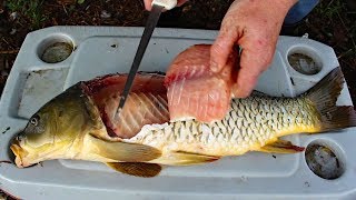 Catch and Cook Carp  How to cook carp  carp fishing tips amp carp recipe [upl. by Yeoj]