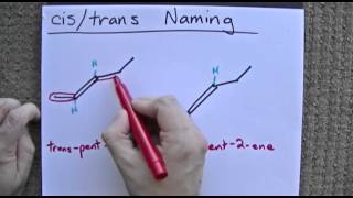 Naming Cis  Trans Double Bonds [upl. by Grochow]