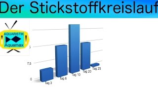 Der Stickstoffkreislauf im Aquarium  15 [upl. by Norihs]