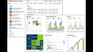 11 OBIEE 12c  Chapter 04 Filtering Data For Analyses Part 2 [upl. by Rustice]