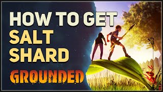 How to get Salt Shard Grounded [upl. by Iggep]