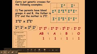 612 Patterns of inheritance b Multiple alleles [upl. by Stanzel938]