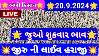 જીરું ના બજાર ભાવ  ગોંડલ માર્કેટિંગ યાર્ડ ના બજાર ભાવ  જીરુના ભાવ આજના Gondal marketing yard [upl. by Enalahs]