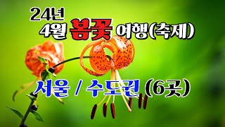 오직 4월에 가야 즐길 수 있는 봄 꽃 여행 수도권 6곳 [upl. by Kendry]