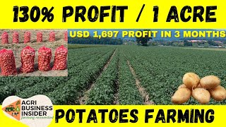 How to Start A Potatoes Farming Business 1 Acre Potatoes Farming Cost amp Profit Analysis [upl. by Ariad]