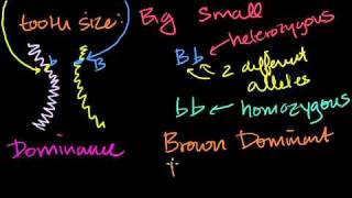 Introduction to Heredity in Bangla [upl. by Tuttle]