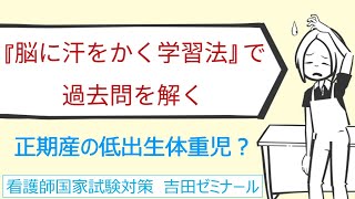 【看護師国家試験対策】正期産の低出生体重児｜吉田ゼミナール [upl. by Repsaj997]