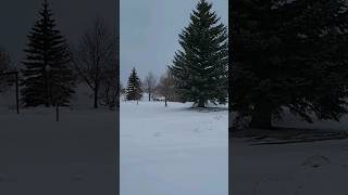 Christmas morning in Wyoming wyoming christmas snow winter morning explore [upl. by Lenssen]