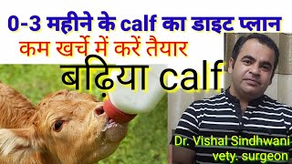 Calf ko kaise taiyar kareincalf ka diet plan 03 monthpashucare [upl. by Nnaeinahpets]