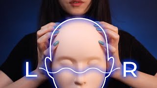 ASMR Tapping Different Areas of Your Brain  3D Panning Triggers No Talking [upl. by Rockwell]