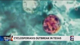 Cyclosporiasis outbreak in Texas [upl. by Saduj]