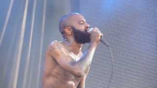 Death Grips HD  quotThe Fever Aye Ayequot Live at Ottawa Bluesfest 2013 [upl. by Annawahs]