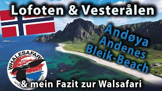 Walsafari Andenes amp Bleik Beach Camping I Lofoten amp Vesterålen Rundreise Teil 1 I [upl. by Euqinemod]