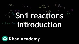 PSEUDO FIRST ORDER REACTION [upl. by Ateiram]