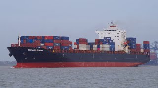 Containership CMA CGM ALCAZAR  IMO 9335197  Shipspotting Port of Felixstowe 8424 [upl. by Freddi529]