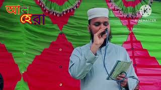 গরেছো তুমি এই পৃথিবী জাহানGoreso Tumi Ei Prethibi jahanসোলাইমান বীন আলম আল হেরা শিল্পী গোষ্ঠী [upl. by Brendan]