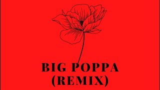 The Notorious BIG  Big Poppa Remix  BSIRIS [upl. by Jariv]