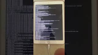 Hacking an iPad checkra1n w verbose boot [upl. by Purvis]