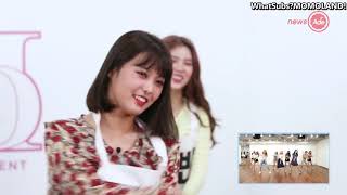 ENG SUB Newsade Momoland BAAM part switch dance [upl. by Ysset]