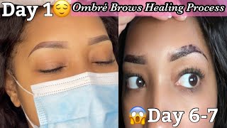 Ombre Brows Healing Process [upl. by Yentruoc]