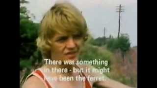 ferreting plank lane with subtitles [upl. by Adnilrev]