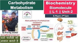 Introduction of Carbohydrate Metabolism  L1 Unit2 Biochemistry [upl. by Labors]