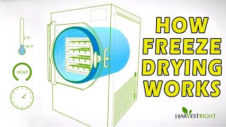 How Freeze Drying Works [upl. by Amisoc]