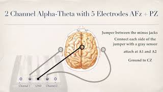 2Channel Synchrony and Alpha Theta Placements [upl. by Ashley]