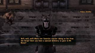 Fallout New Vegas  Vulpes Inculta With Positive Reputation Legionaire Courier [upl. by Godard]