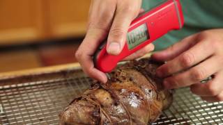 The Right Way to Use a Meat Thermometer [upl. by Arrotal565]