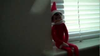 Real Elf on the Shelf Proof [upl. by Shum]