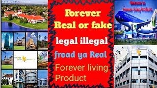 I Analyzed The Forever Real vs Fake Debate [upl. by Olgnaed]