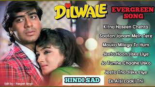 Dilwale 💞 All Songs With Dialogues 💞 Ajay Devgan Raveena Tandon 90s Bollywood Romantic Song [upl. by Ijuy]