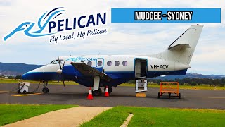 Trip Report  Fly Pelican Mudgee  Sydney [upl. by Yllil]