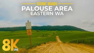 Exploring Beautiful Palouse Area  Scenic Landscapes of Eastern Washington in 8K  Summer Road Trip [upl. by Melvyn]