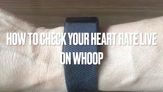 How to view realtime heart rate on Whoop [upl. by Matilde]