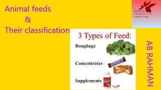 Common feeds and their classification  animal Nutrition  types of feed [upl. by Portia609]