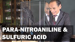 Nitroaniline and Sulfuric Acid [upl. by Eseerahs]