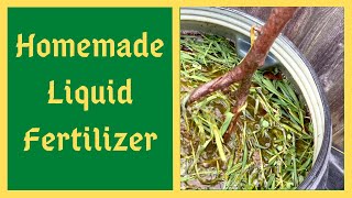 The Finest Natural Fertilizer  Homemade JADAM Liquid Fertilizer [upl. by Redvers]