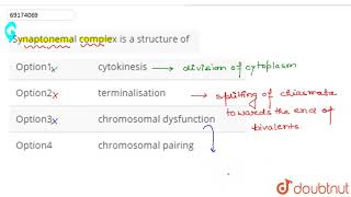 Synaptonemal complex is a structure of [upl. by Gensler927]