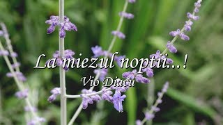 Vio Diacu  La miezul noptii quotAt midnight Hourquot Cu Versuri [upl. by Eselrahc368]