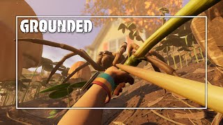 EL COFRE SECRETO DEL ARENERO  GROUNDED 10 Gameplay Español Ep 19 [upl. by Earahs841]