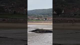 Weston Beach Race 2024 first lap first corner filmed from Brean Down enduro beachrace [upl. by Tiphane]