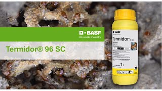 Termite Control with BASF Termidor [upl. by Gnouc]