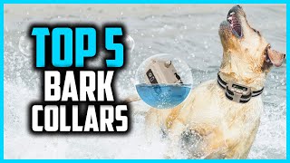 ✅Top 5 Best Bark Collars for Dogs Reviews 2024 [upl. by Yngad]